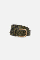 Leonessa belt khaki green woman