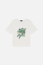 Tedouard t-shirt khaki green woman