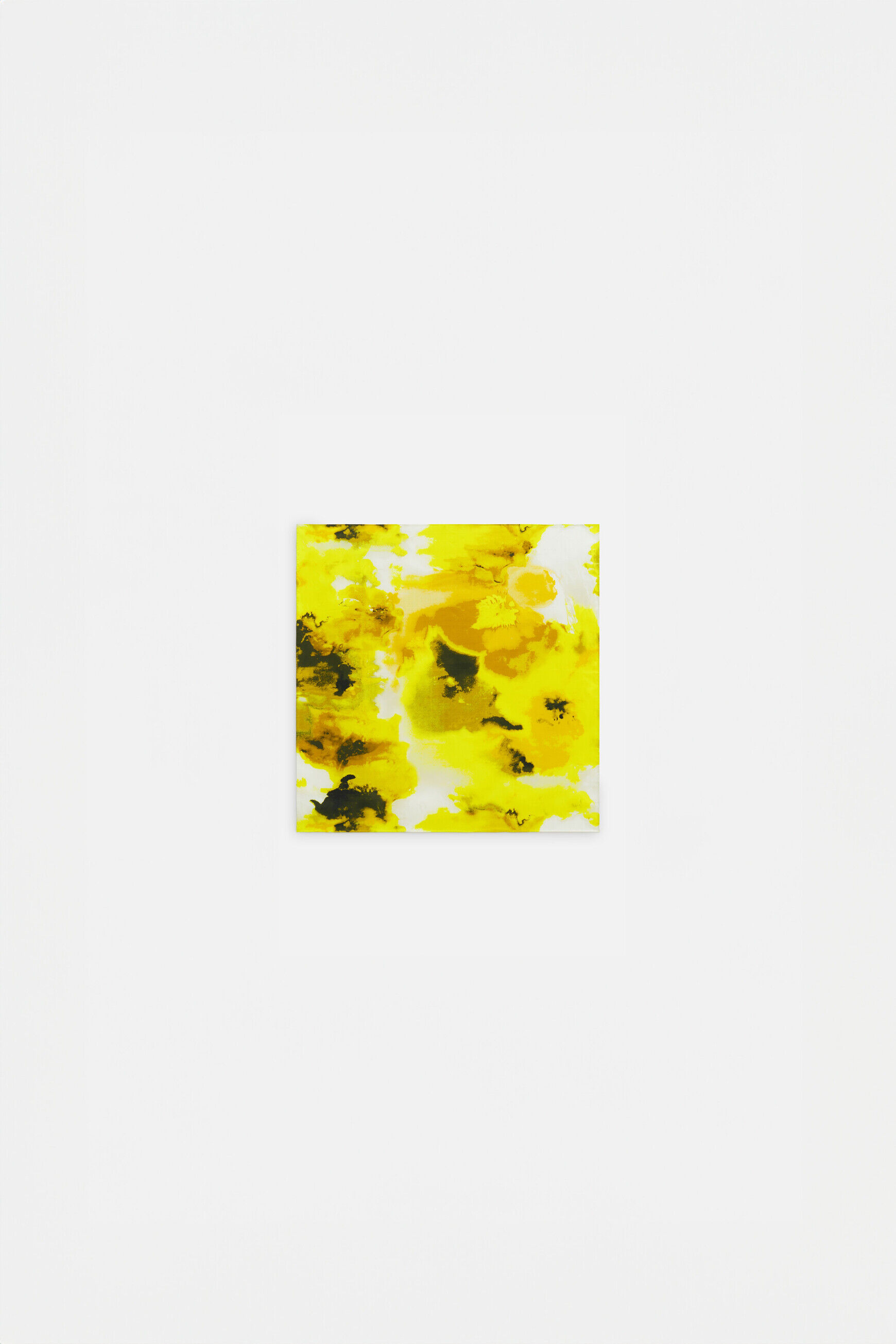 Foulards femme Caroll