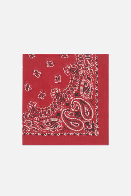 Foulard Ladana bordeaux femme