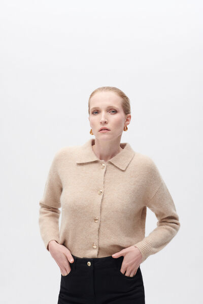 Pull maureena marron femme
