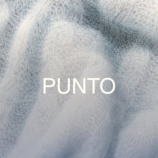 Punto Caroll