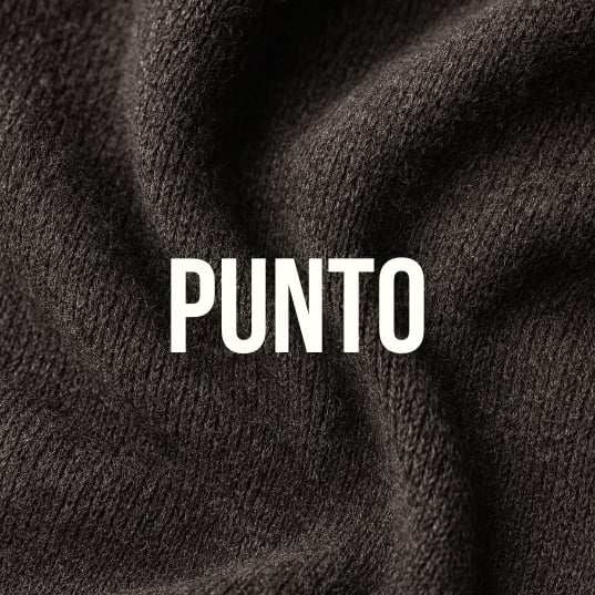 Punto