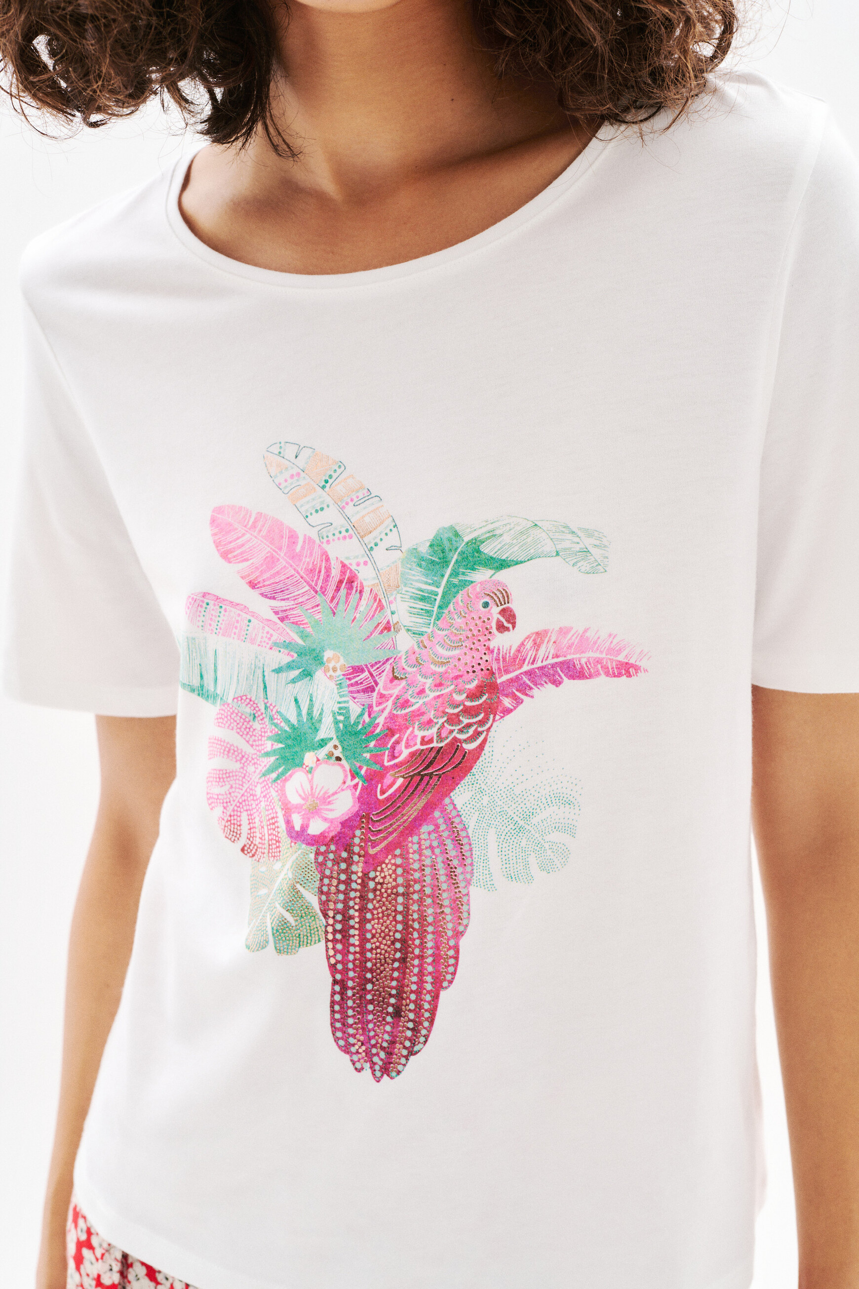 tperruche t shirt groen vrouw Tperruche T-shirt groen vrouw